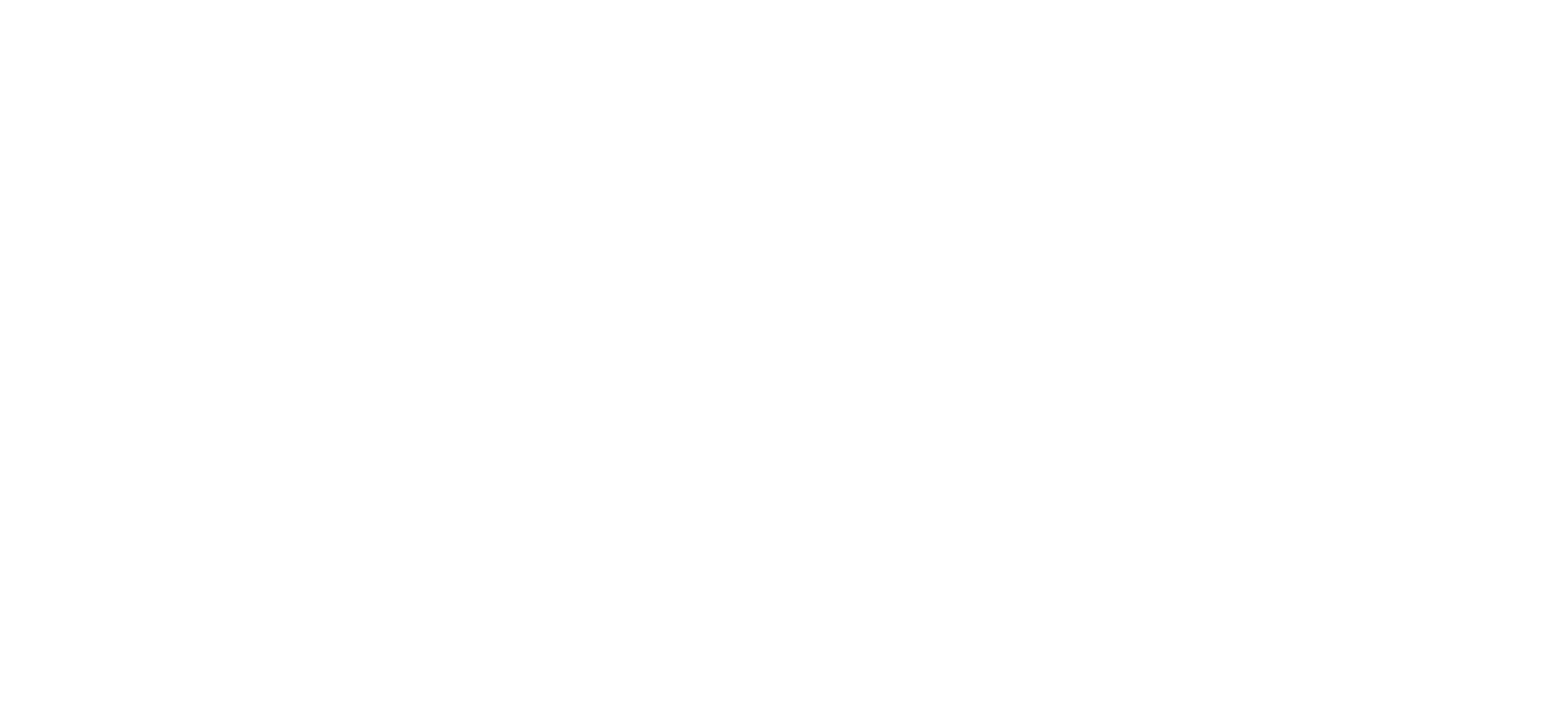 17th Newcastle Scout Group